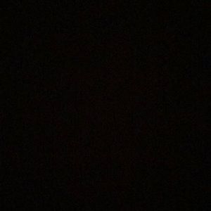 Meet your Posher, Delaney